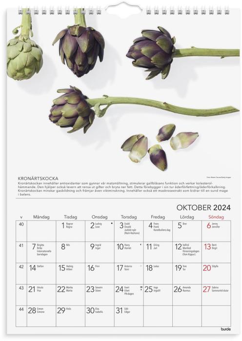 Väggkalender gröna tips 2024