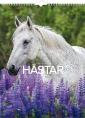 Stora Hästkalendern 2021