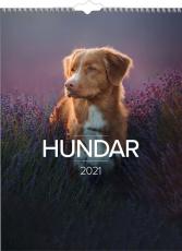 Stora Hundkalendern 2021