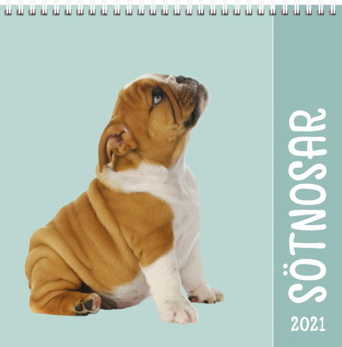Sötnosar 2021