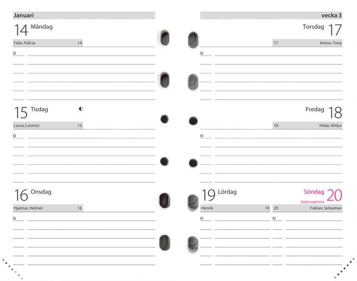 Compact Systemkalender brunt skinn 2021