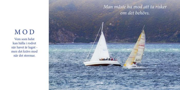 Stora Motivationsboken