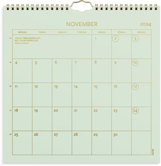 Väggkalender Color 2024