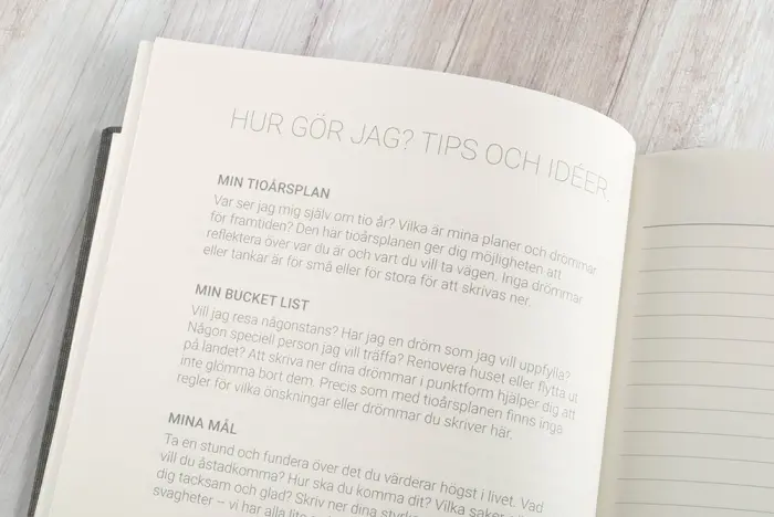 10-årsdagbok - Red Twist