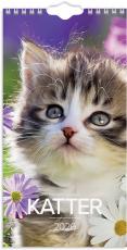 Liten kattkalender 2026