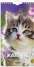 Liten kattkalender 2026