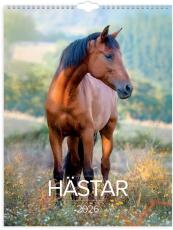 Stora Hästkalendern 2026