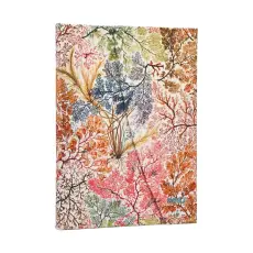 Kalender Paperblanks Midi Horizontal Anemone 2027