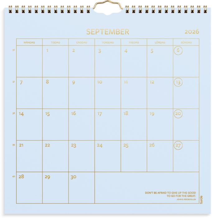 Väggkalender Color 2026