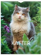 Stora Kattkalendern 2026