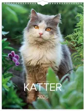 Stora Kattkalendern 2026