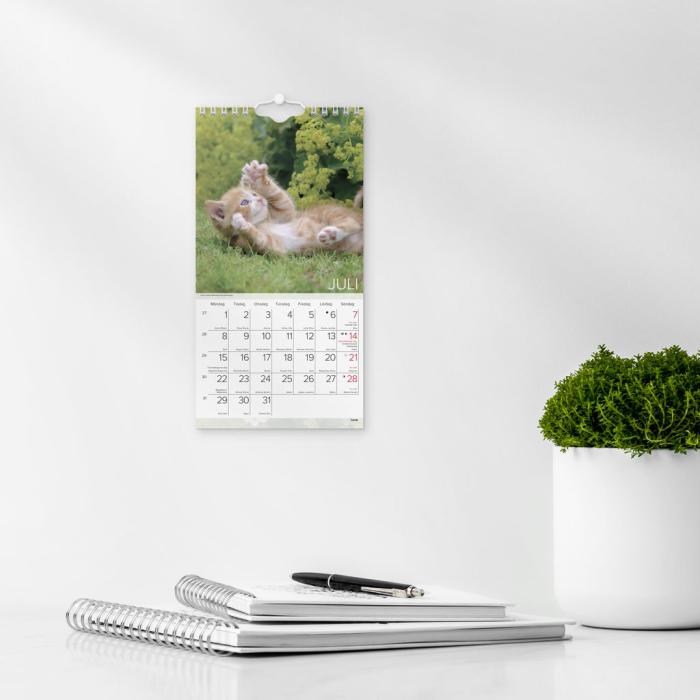 Liten kattkalender 2024