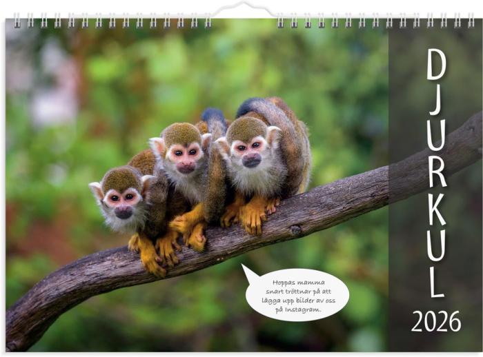 Väggkalender djurkul 2026