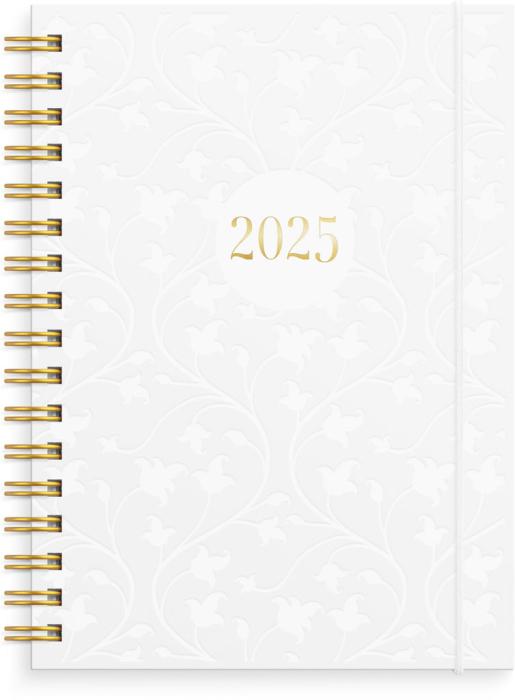 Senator A6 Star 2025