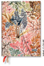 Kalender Paperblanks Midi Horizontal Anemone 2027