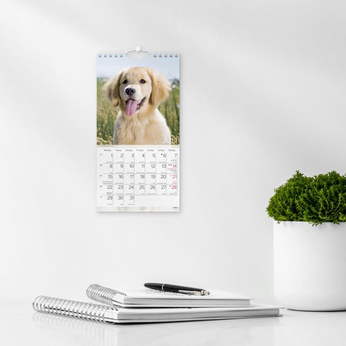 Liten Hundkalender 2024