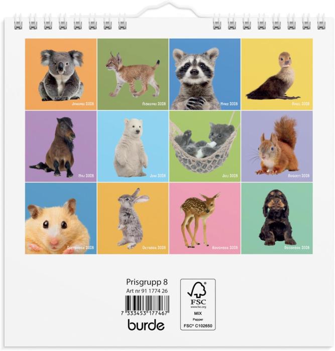 Väggkalender Sötnosar 2026