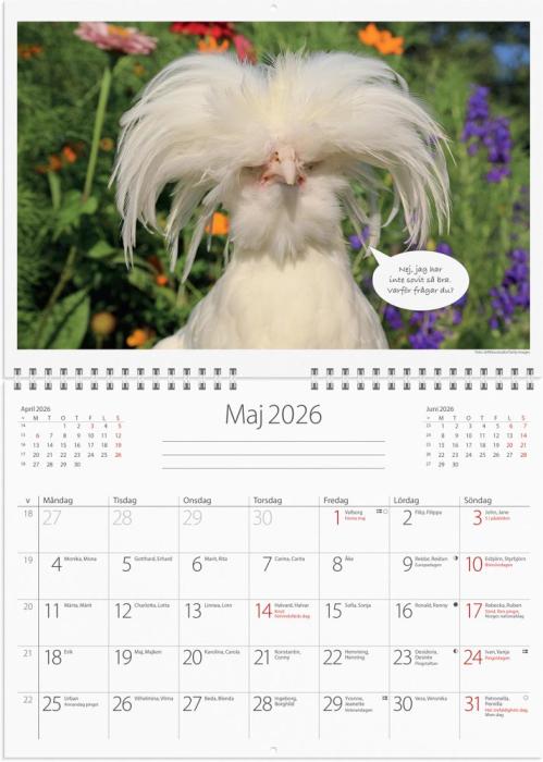 Väggkalender djurkul 2026
