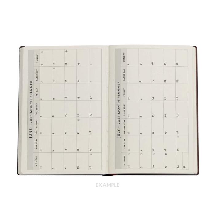 Paperblanks Mini Day Olive Fairy 2023
