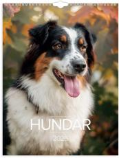 Stora Hundkalendern 2026