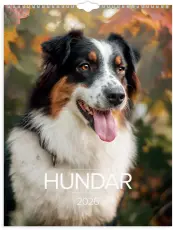 Stora Hundkalendern 2026