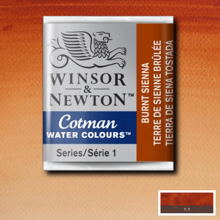 Akvarellfärg Cotman 1/2-kopp Burnt sienna 074