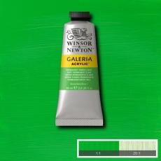 Akrylfärg Galeria 60ml Permanent green light 483