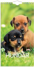 Liten Hundkalender 2026
