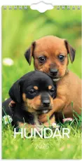 Liten Hundkalender 2026
