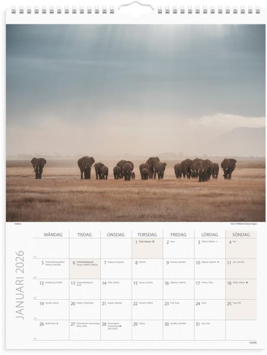 Väggkalender Savannen 2026
