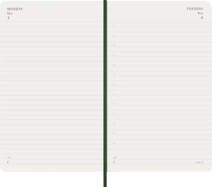 Kalender Moleskine Daily Myrtle Green Soft Large 2027