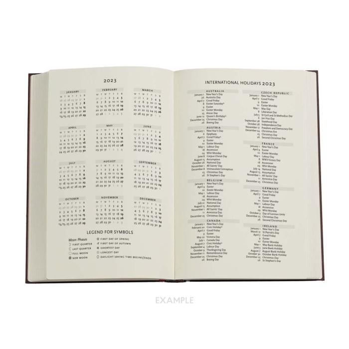 Paperblanks Maxi Destiny 2023