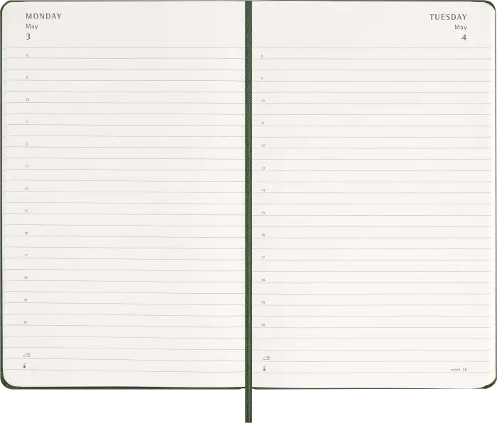 Kalender Moleskine Daily Myrtle Green Hard Large 2027