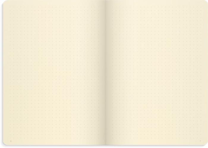DotNotes Deluxe A5 black