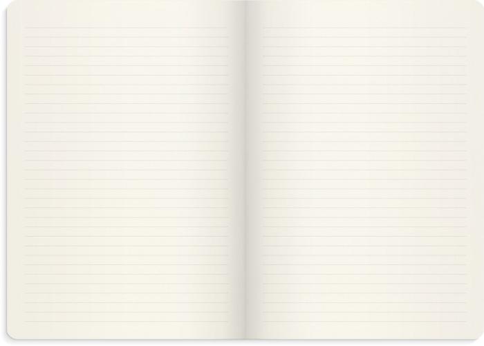 Notebook Deluxe B5 brown