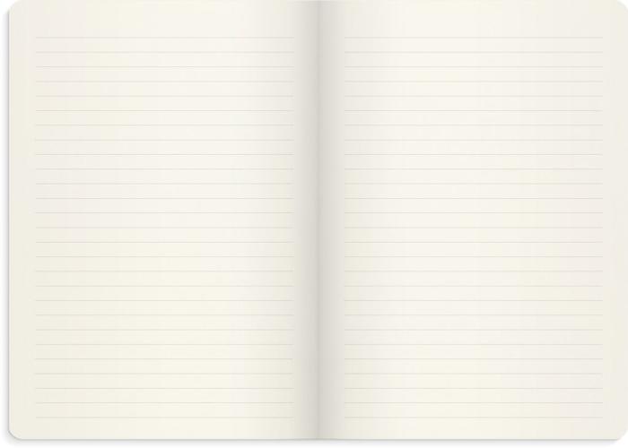 Notebook Deluxe A5 blue 