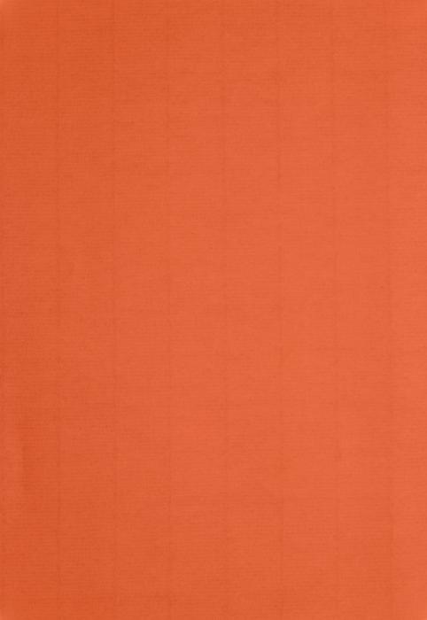 A4 Papper 10-pack 110g Orange