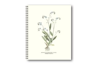 Gullers Anteckningsbok F&ouml;rg&auml;tmigej - Kalenderkungen.se