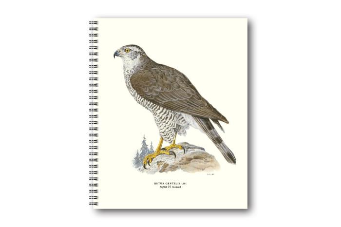 Gullers Anteckningsbok Duvhök - Kalenderkungen.se