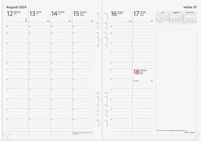 Business Systemkalender brunt skinn 2024