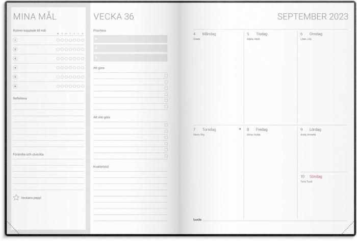 Goal Planner 2023