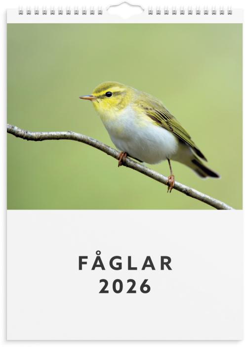 Väggkalender,Fåglar,2026
