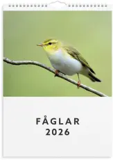 Väggkalender,Fåglar,2026