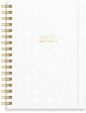 Senator A6 Star 2026