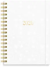Senator A6 Star 2026