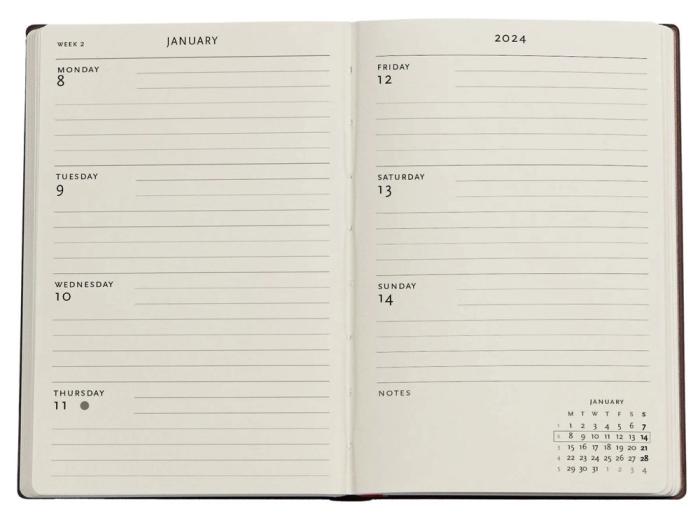 Paperblanks Dayplanner Mini Firebird 23-24