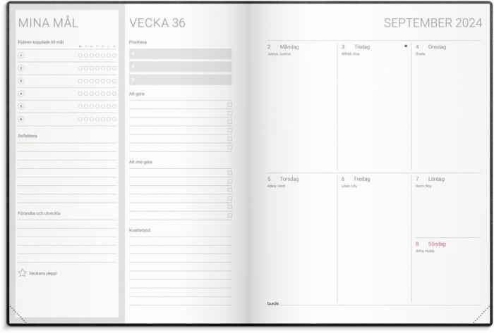 Goal Planner 2024