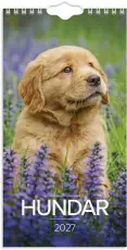 Liten Hundkalender 2027