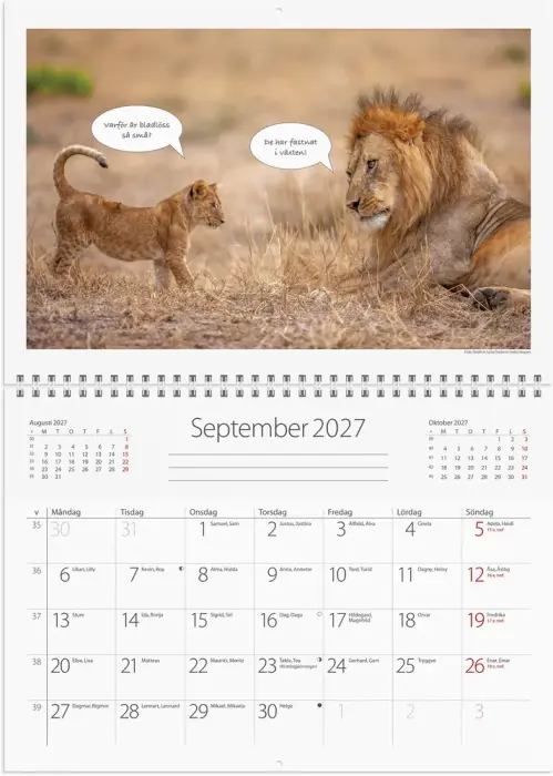 Väggkalender djurkul 2027