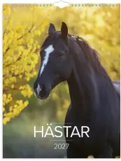 Stora H&auml;stkalendern 2027
